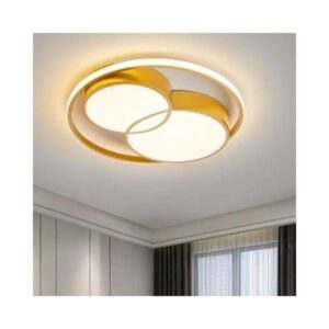 Double Circle Flush Mount Ceiling Light